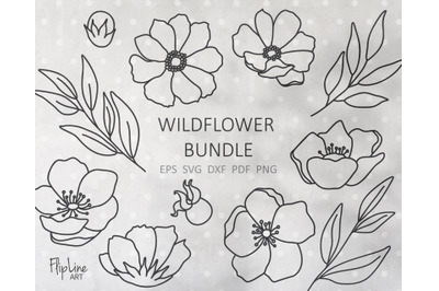 Wildflower SVG &amp; PNG botanical clipart bundle, Summer Flower