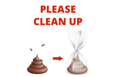 Clean up after dog. Info poster, poop and insects. Realistic flying fl