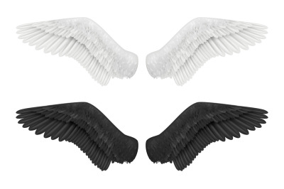 White and black wings. Angel and demon wings birds feathers gothic fly