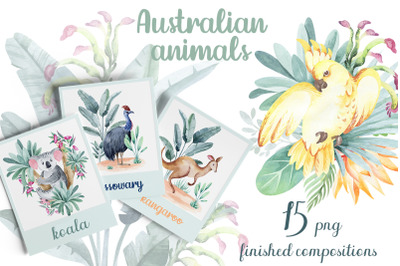 Animals of Australia. 15 png compositions.