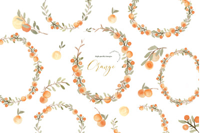 Orange Summer Elements Clipart&2C; Citrus Frame Orange Illustration