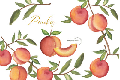 Greenery Peaches Watercolor Clipart, Summer Peaches Clipart
