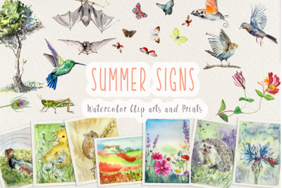 Summer Signs - Watercolor Clip Art Set