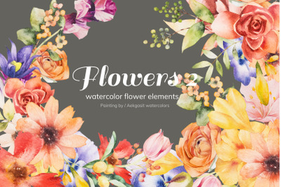 Watercolor Flower Elements No 3
