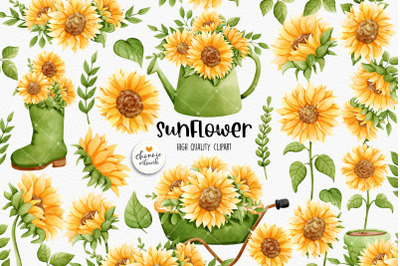sunflower clipart