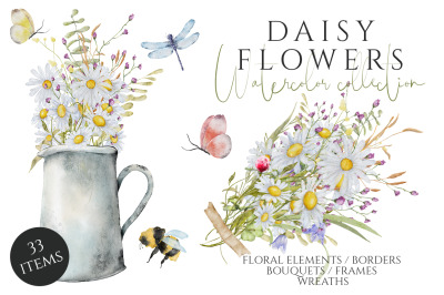 Daisy flowers watercolor set