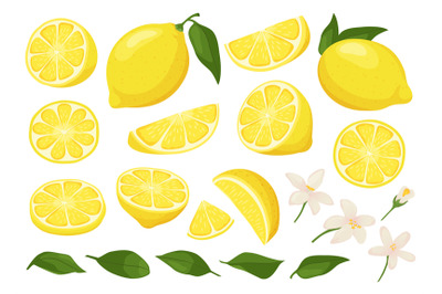 Cartoon lemon. Ripe yellow sliced lemons with blossom flowers and veav