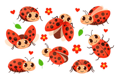 Cartoon ladybug. Cute ladybugs, garden red bugs and lady insect vector