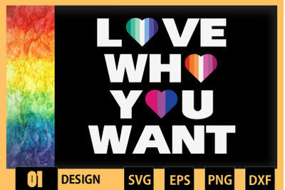 Love Who You Want LGBTQ Flag