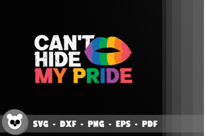 LGBT Pride Month Can&#039;t Hide My Pride