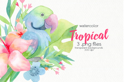 Watercolor Tropical Birds