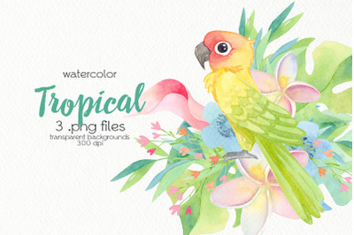 Watercolor Tropical Birds