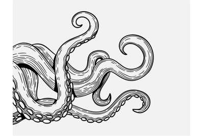 Tentacles banner. Octopus tentacle sketch element. Decorative engravin