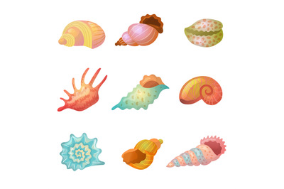 Seashell. Sea weather item starfish colorful sand items recent vector