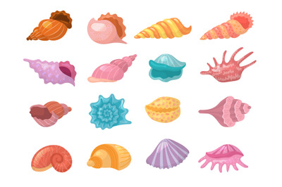 Seashells. Beach summer nature elements on sand starfish recent vector