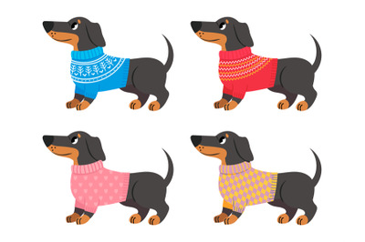 Collection of dachshund clothes, sweater for dogs