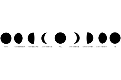 Moon phases. Isolated moons from young to old, earth sputnik vector co