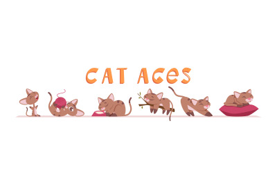 Cat growing. Kitten funny characters in various poses domestic animals