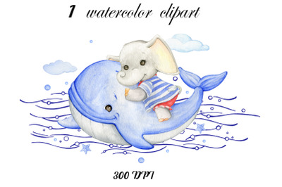 Elephant sailor, whale, watercolor clipart