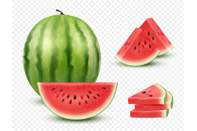 Watermelon realistic. Collection slices healthy natural berry watermel