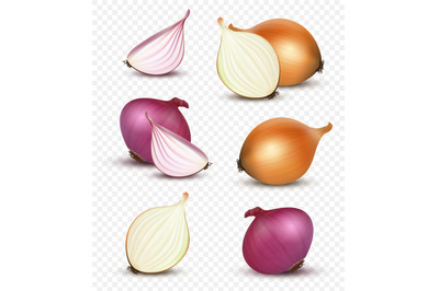 Onion realistic. Natural healthy sliced vegetables decent vector 3d on