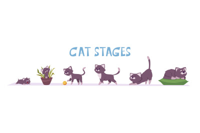 Cat growth stages. Small domestic animal playful and lying poses pets