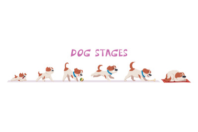 Dog growth. Puppy and old dog domestic funny animals in action poses e