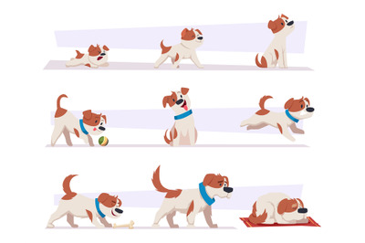 Dog growth stages. Cartoon domestic animal puppy life progress picture