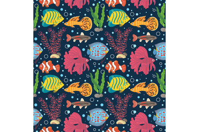 Aquarium fish seamless pattern. Different breeds colorful little fishe