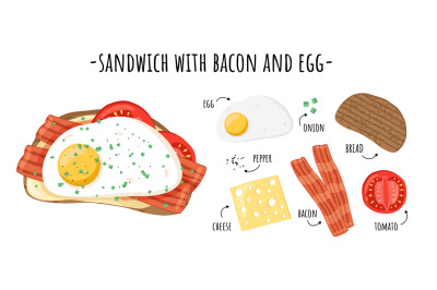 Sandwich elements. Tasty ingredients layers on toasted bread, breakfas