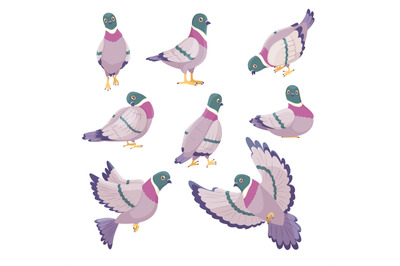 Cartoon dove. Cute city pigeons, funny urban birds characters, differe