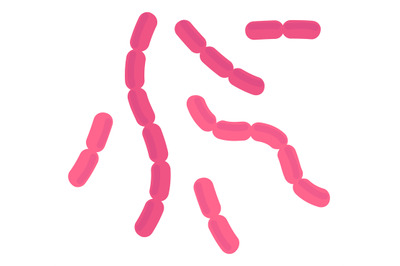 Bacilli bacteria. Pink rod cells of infection disease