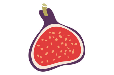 Cutted fig icon. Half of healthy organic fruit