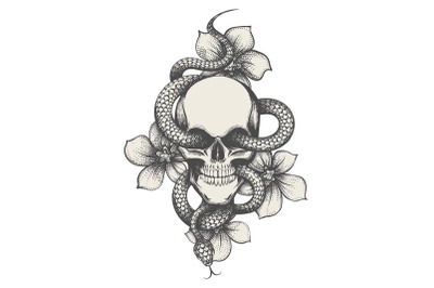 Skull with Snake and Flowers Tattoo isolated on white