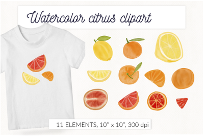 Watercolor citrus clipart. Watercolor tangerine, mandarin, lemon, grap