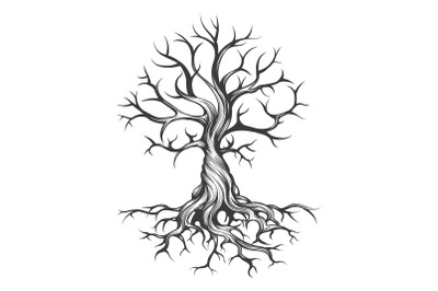 Tree Tattoo drawing in Engraving Style isolated on white