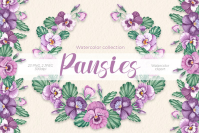 Watercolor pansies / Watercolor Clip Art PNG, JPG