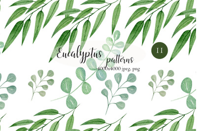 Watercolor eucalyptus seamless patterns