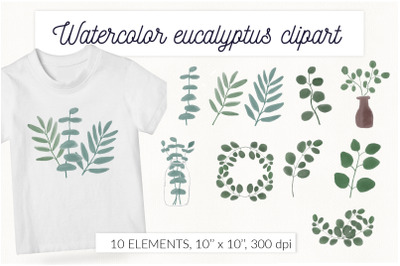 Watercolor Eucalyptus Greenery floral clipart
