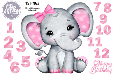 Cute Pink Girl Elephant 12 month Numbers 15 PNG Set
