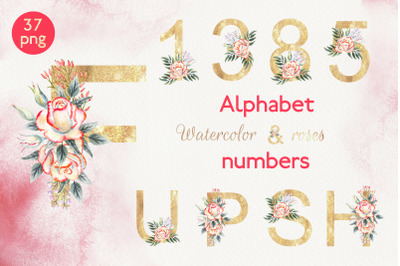 Alphabet and Numbers Watercolor Flowers roses