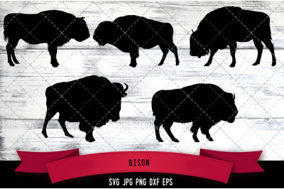 Bison Cut file Svg
