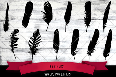 Feathers Cut file Svg