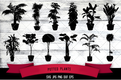Potted plants Cut file Svg