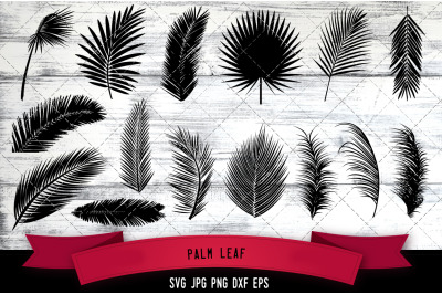 Palm leaf Cut file Svg