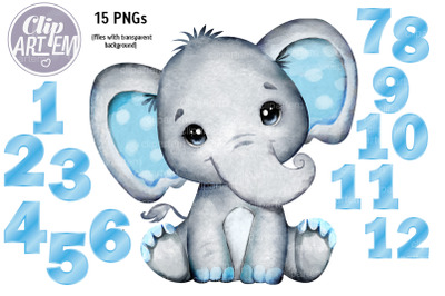 Blue Gray Elephant Baby Boy 1 to 12 Month Numbers Clip Art 15 PNG Set
