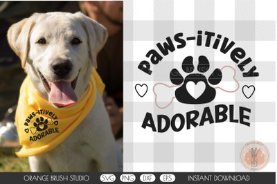 Adorable Dog Bandana Quote SVG Pet Design Cricut For DIY