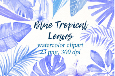 Blue tropical leaves | exotic flowers png clipart Bundle.