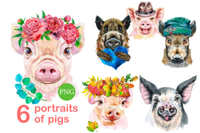 Cute watercolor pigs. Part 12