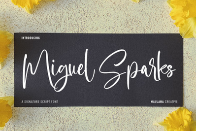 Miguel Sparks Script Font